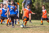 2017 Orange Tigers Soccer